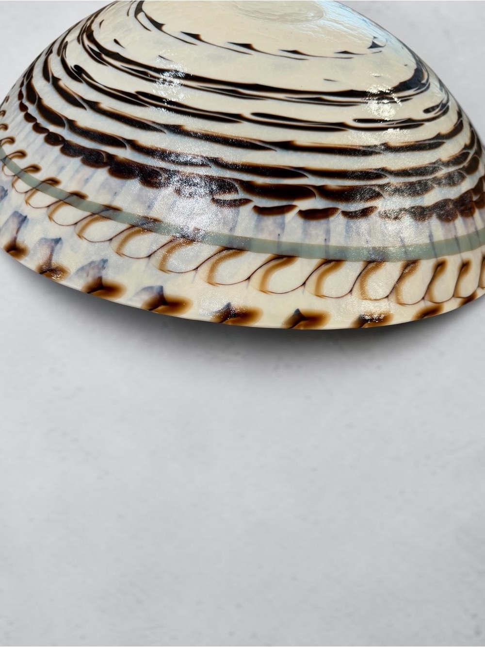 Yalos Murano Fornace Ferro Tuareg Iridescent Nautilus Shell Glass Bowl 20” - Picture 14 of 14